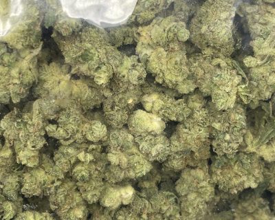 LIME SKUNK smalls (EXOTIC OZ DEAL!) - Image 6